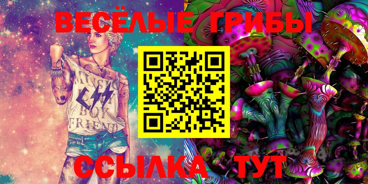 купить  цена  Вход с VPN  Псилоцибиновые грибы MAGIC MUSHROOMS  Шадринск  Псилоцибиновые грибы ЛСД 