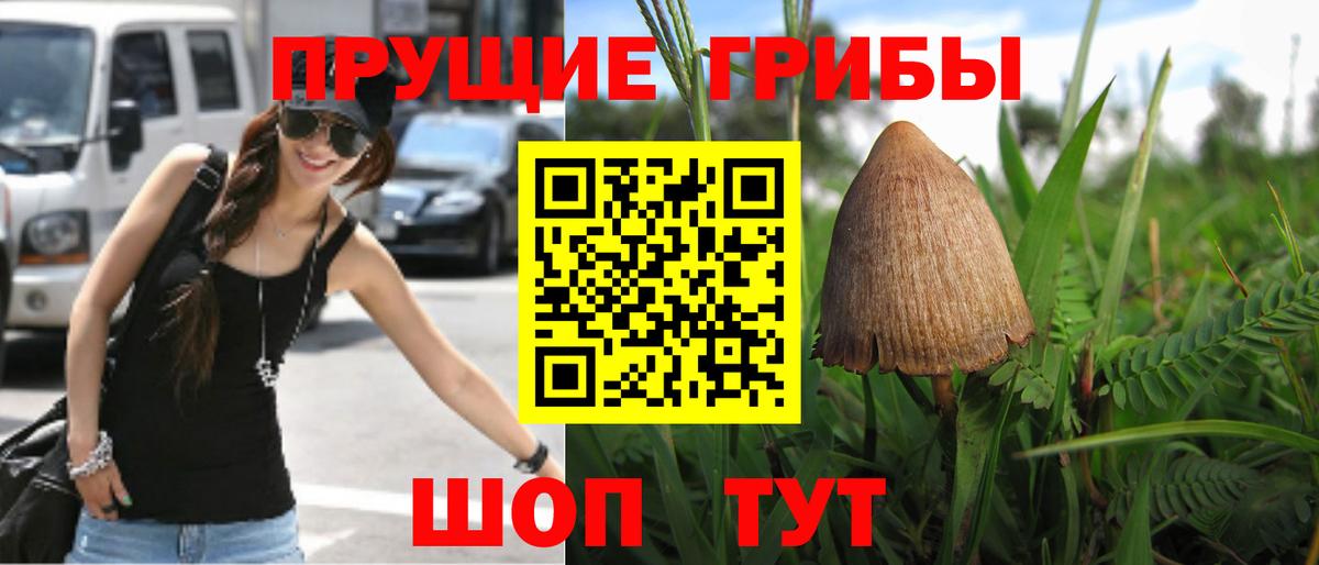 Псилоцибиновые грибы ЛСД Шадринск
